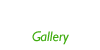 포토앨범